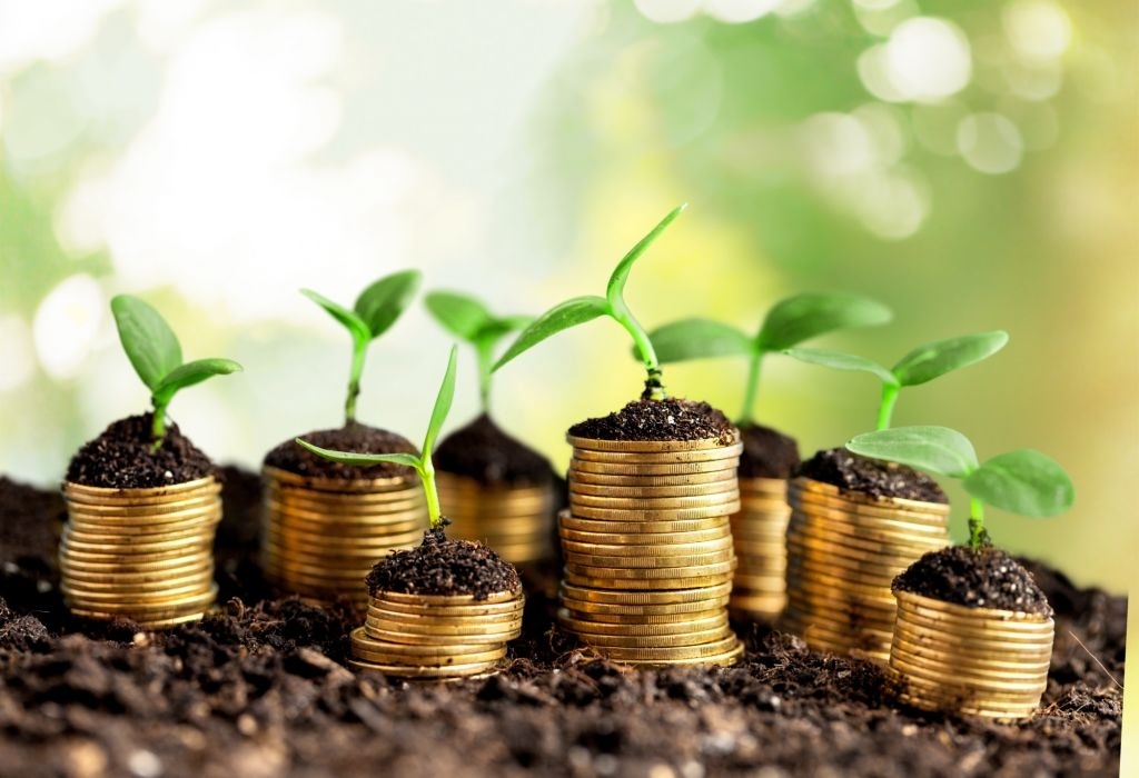 Handsome Return on Investment (ROI)