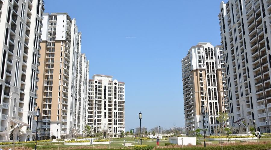 dlf new town heights sector 86