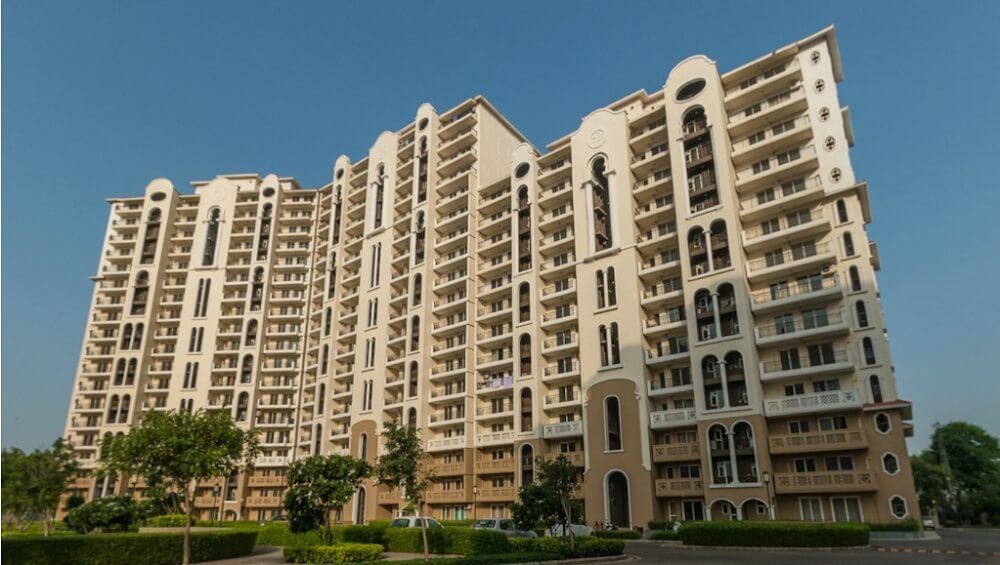 dlf new town heights sector 91