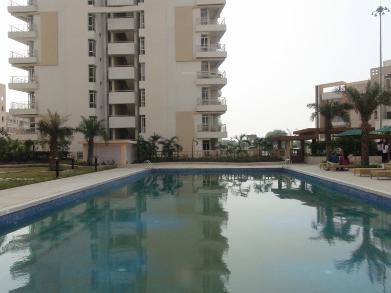 Raheja Atharva Pool