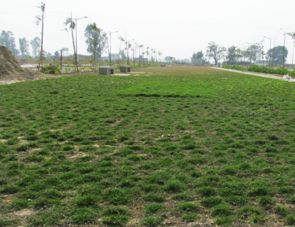 DLF Garden City at Raebareli Road, Lucknow by DLF Ltd