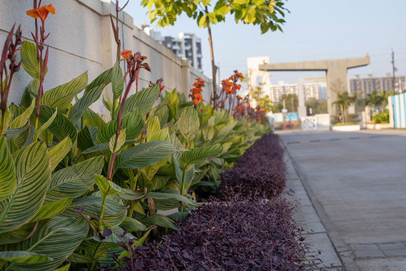 Vascon Citron Phase 2 at Wagholi, Pune by Vascon Engineers