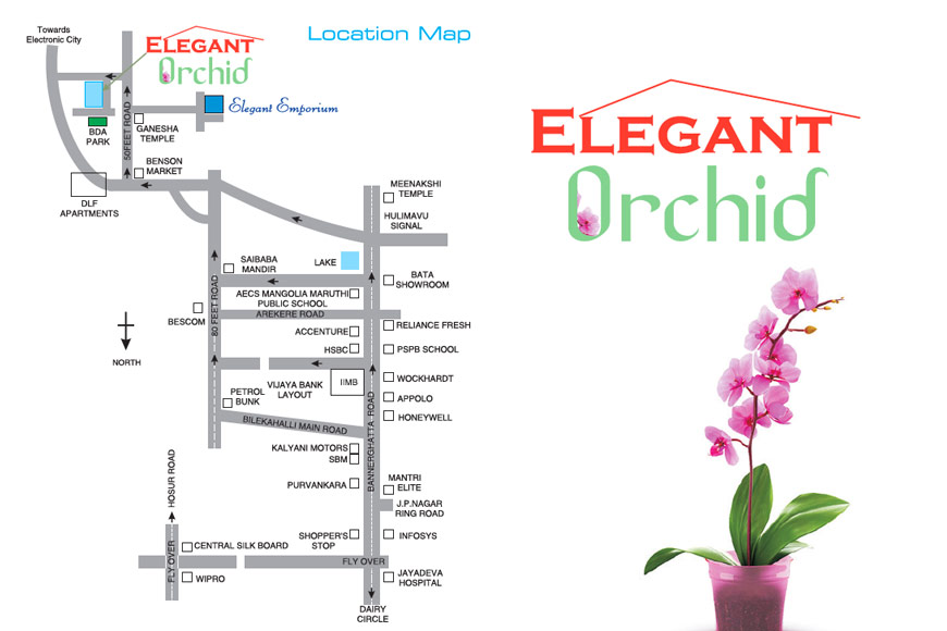 Elegant Orchid Location Map