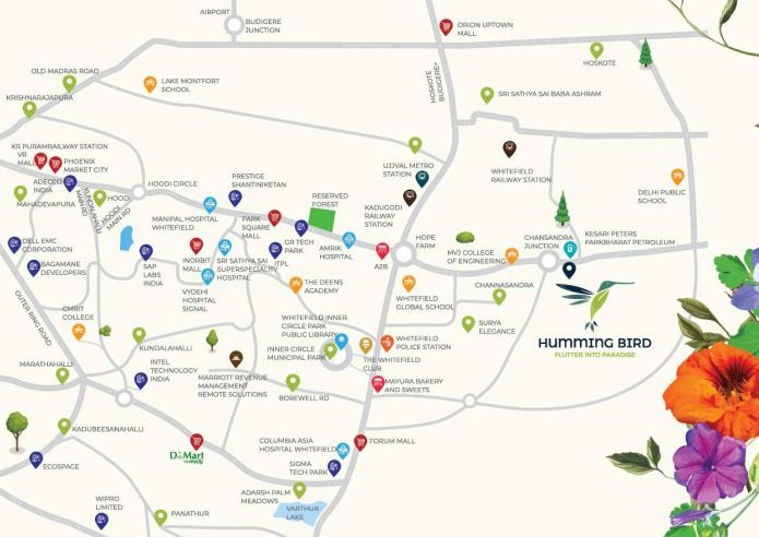 Surya Humming Bird Location Map