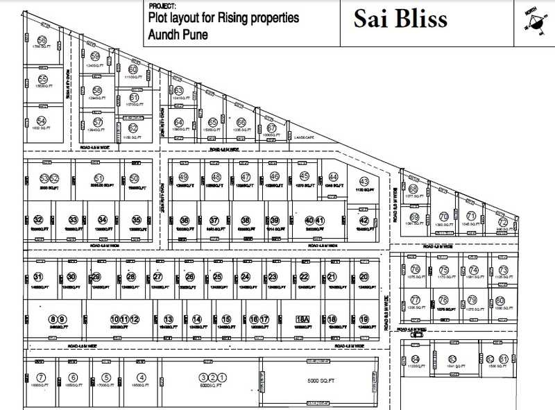 Rising Sai Bliss Phase 2 Master Plan