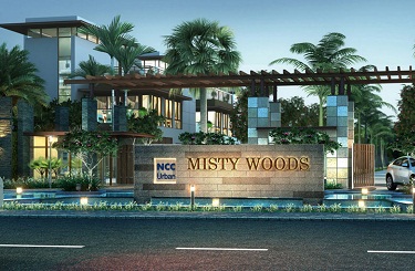 NCC Urban Misty Woods