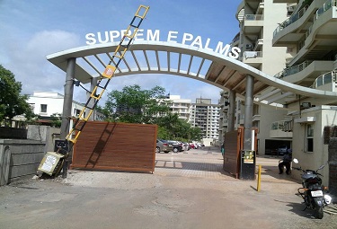 Supreme Palms