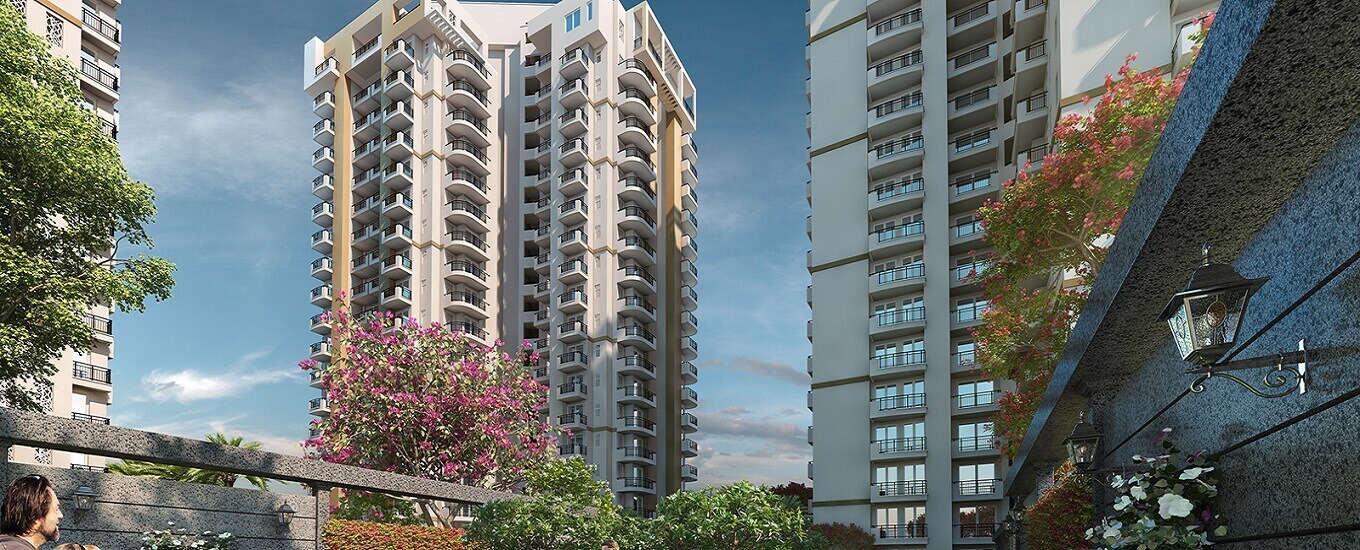 Strategic Royal Court Thankyou Noida Extension, Greater Noida