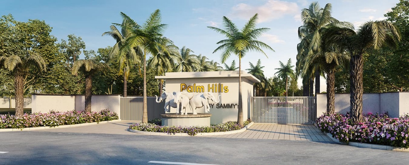 Sammys Dreamland Palm Hills