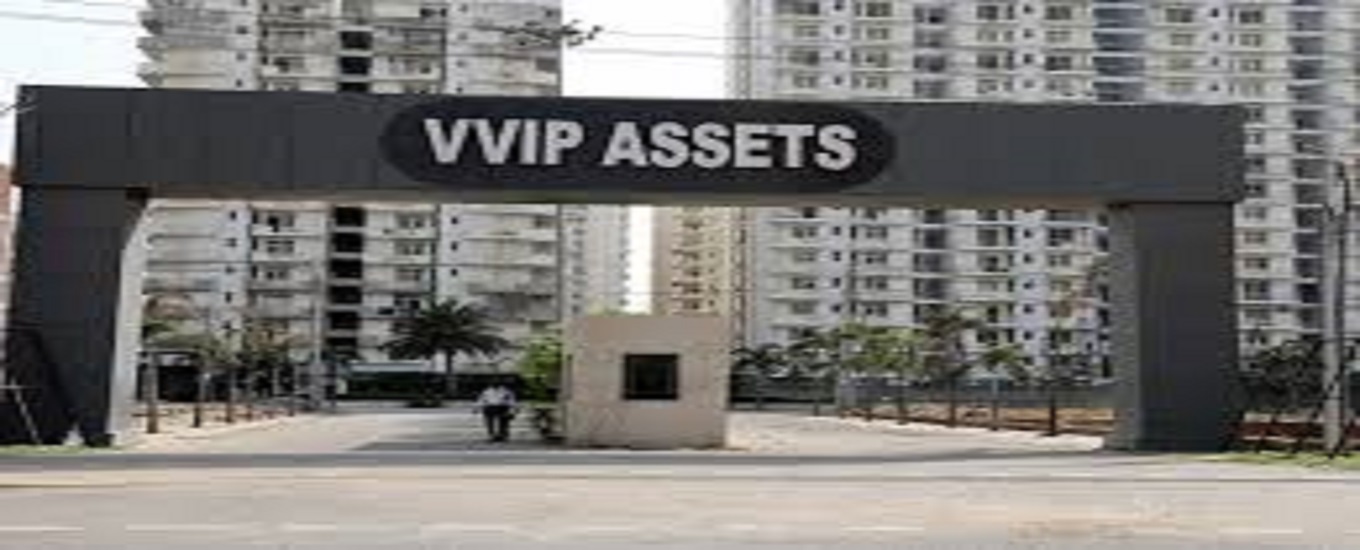 VVIP Assets